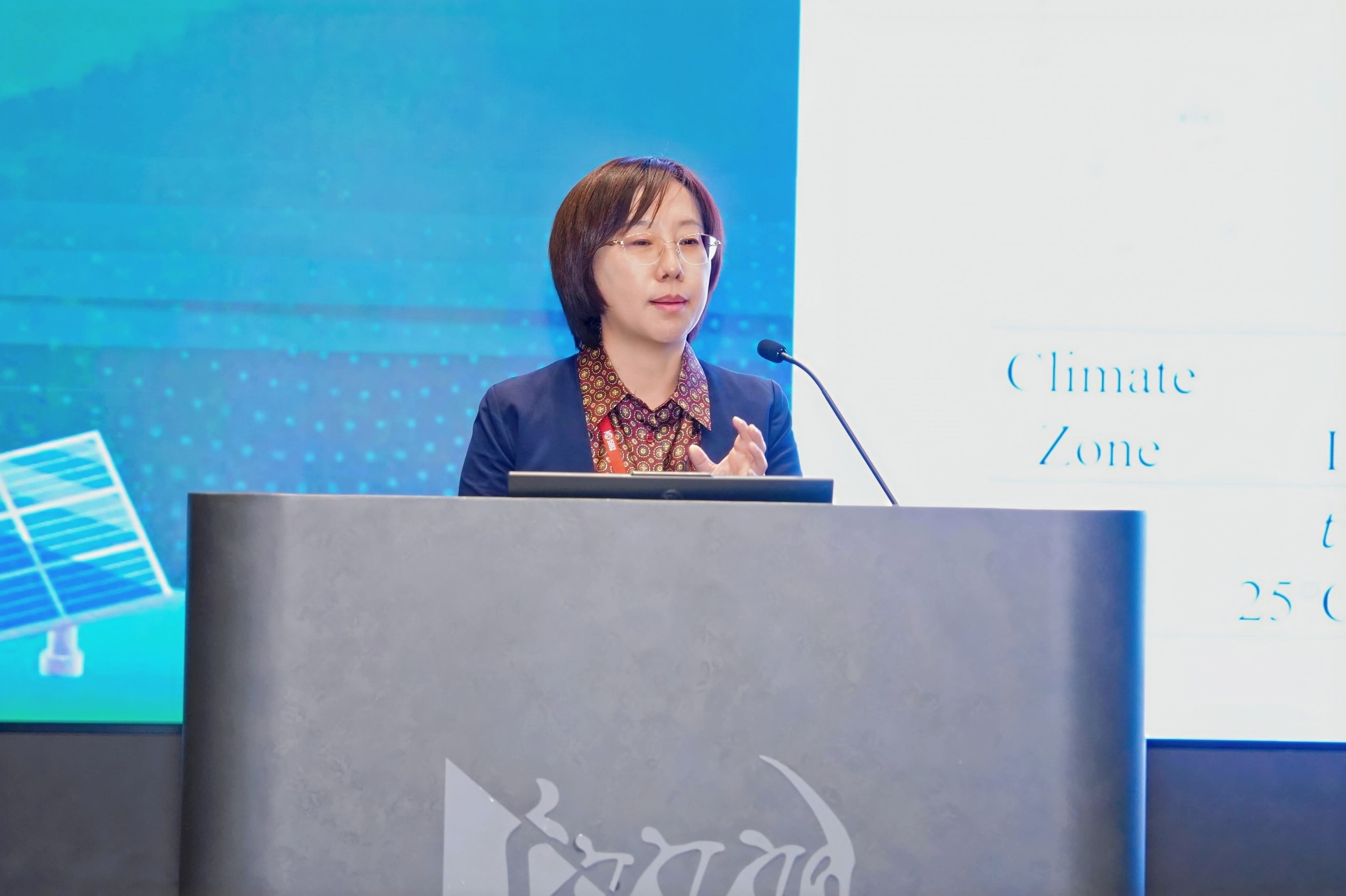 Prof. Xie Jingchao, Beijing University of Technology